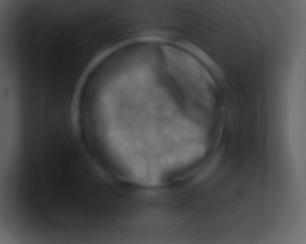 X0000100931240200807081206