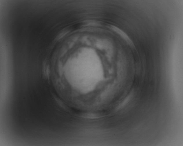 X0000100931241200807081206