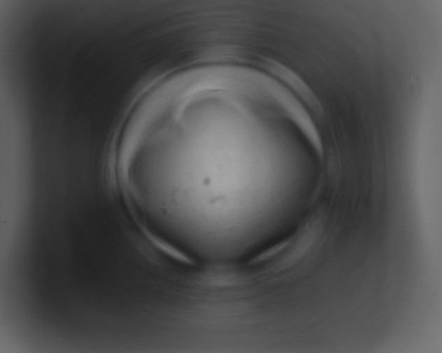 X0000100931242200807081206