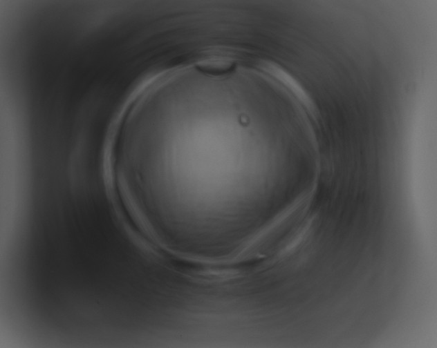 X0000100931243200807081206