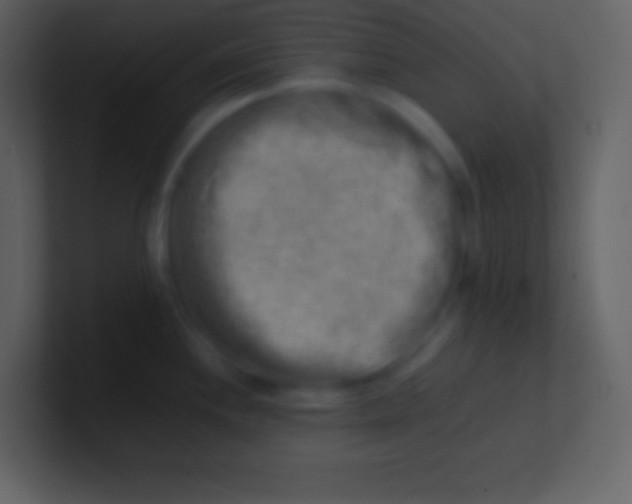 X0000100931244200807081206