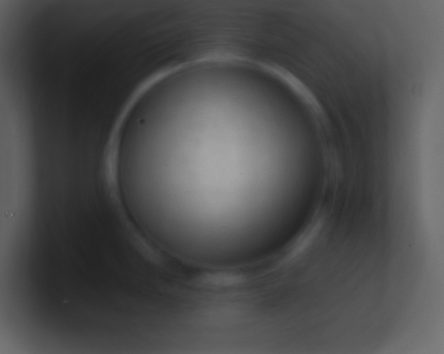 X0000100931246200807081206