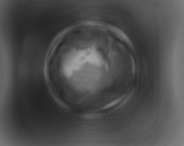 X0000100931247200807081206