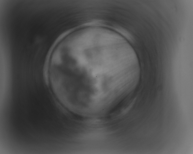 X0000100931248200807081206