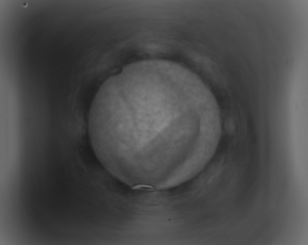 X0000100931253200807081205