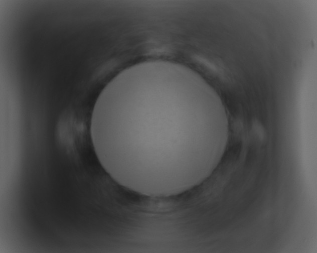 X0000100931254200807081205