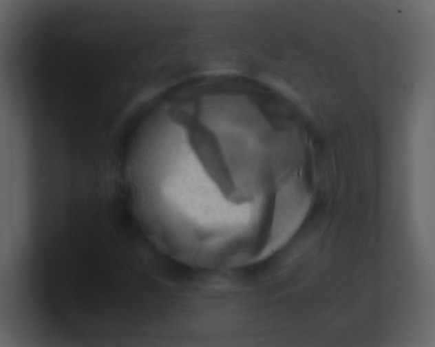 X0000100931255200807081205