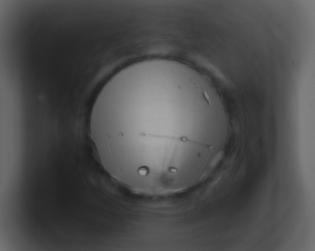 X0000100931256200807081205