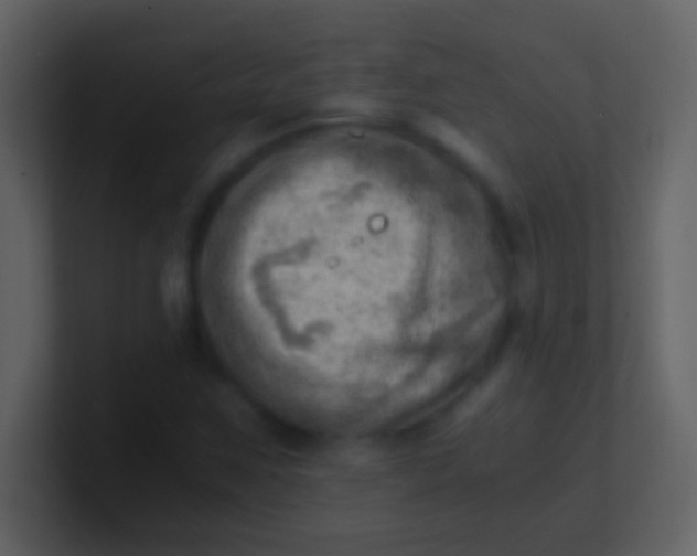 X0000100931259200807081205