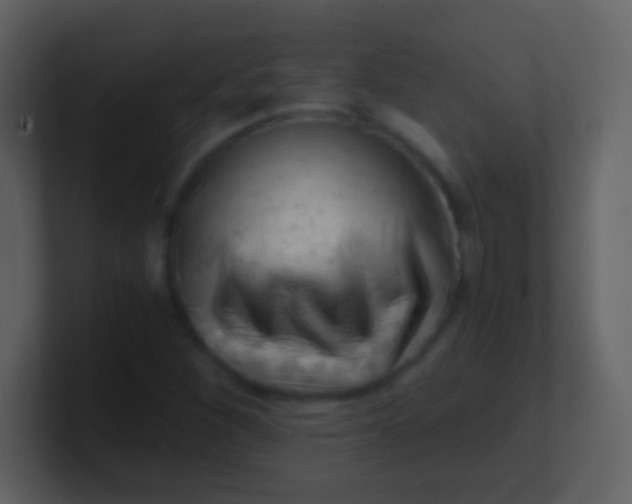 X0000100931260200807081205