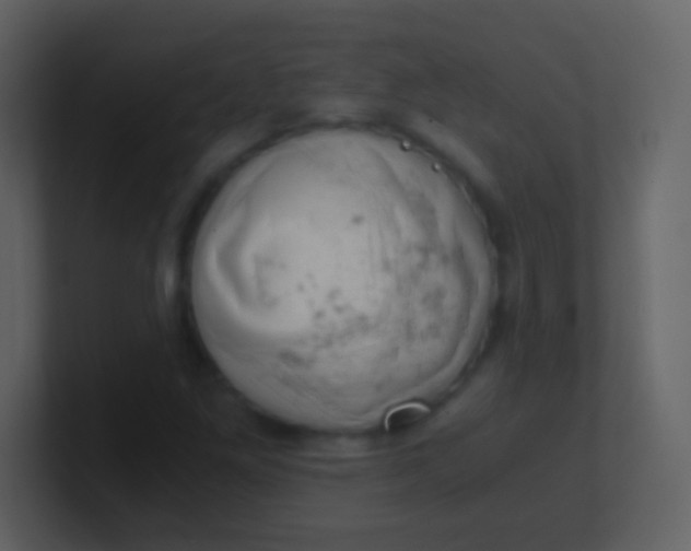 X0000100931261200807081205