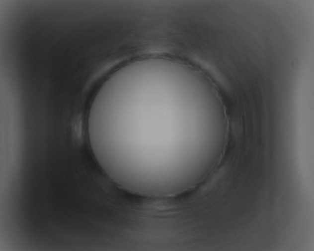 X0000100931262200807081205