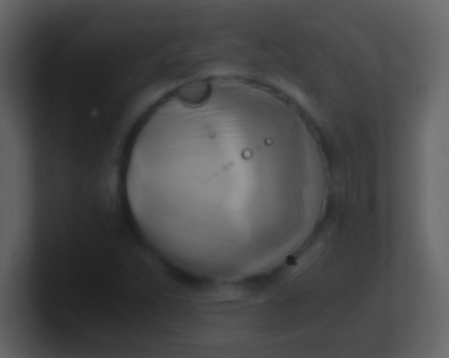 X0000100931263200807081205