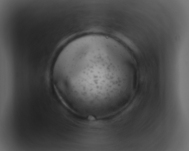 X0000100931264200807081205