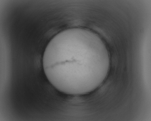 X0000100931265200807081205