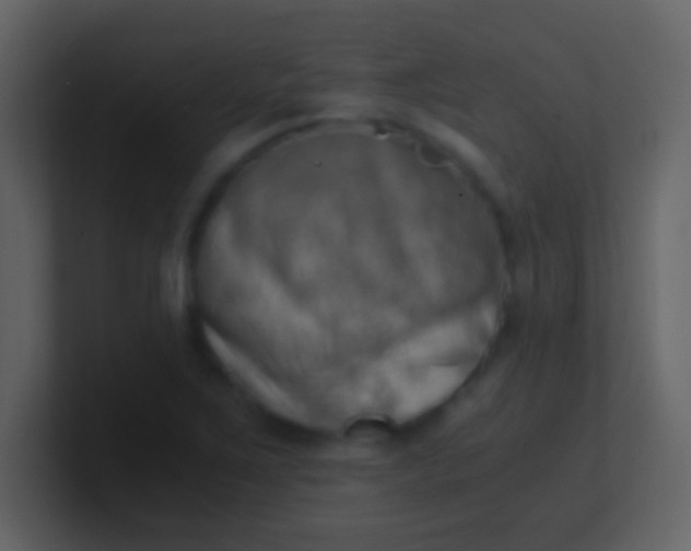 X0000100931267200807081205