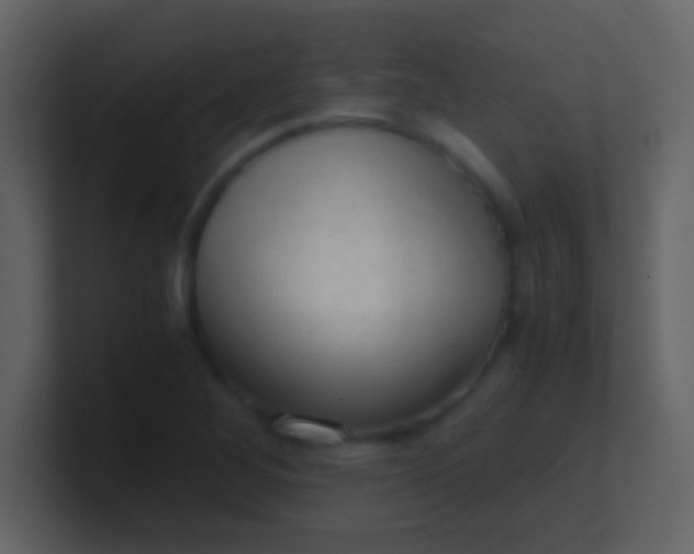 X0000100931268200807081205