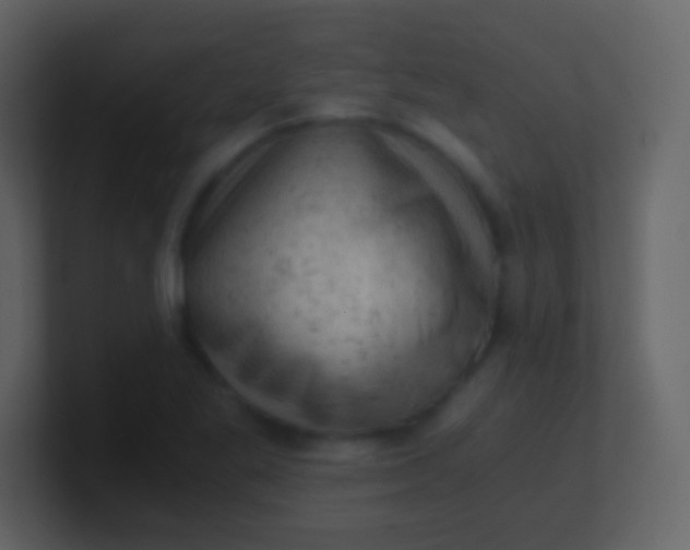 X0000100931269200807081205