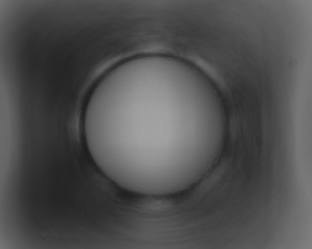 X0000100931270200807081205