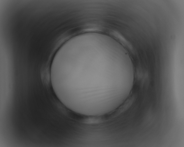 X0000100931274200807081205