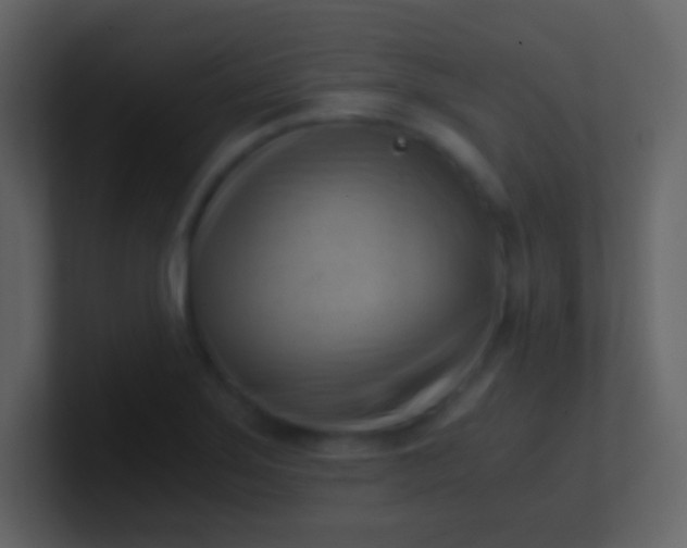 X0000100931275200807081205