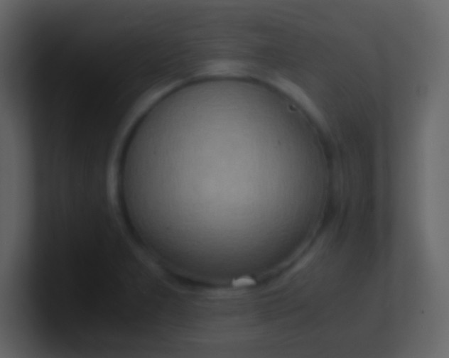 X0000100931277200807081205