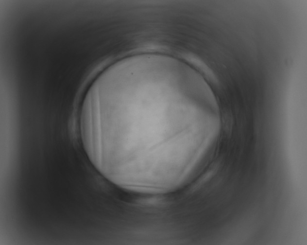 X0000100931278200807081205