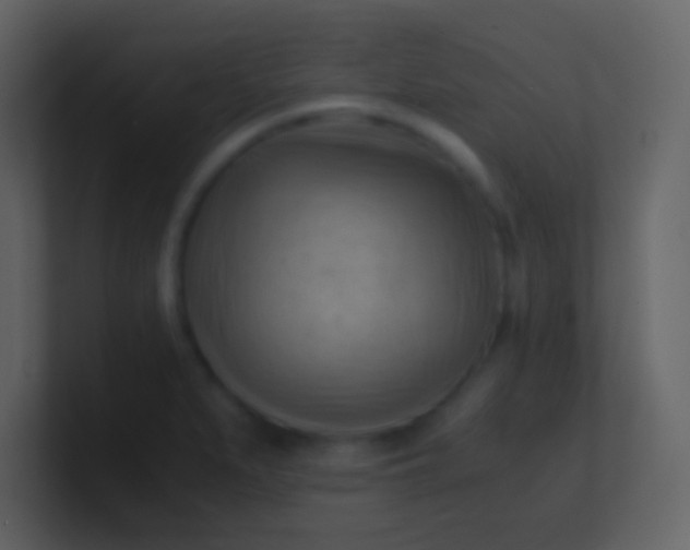 X0000100931279200807081205