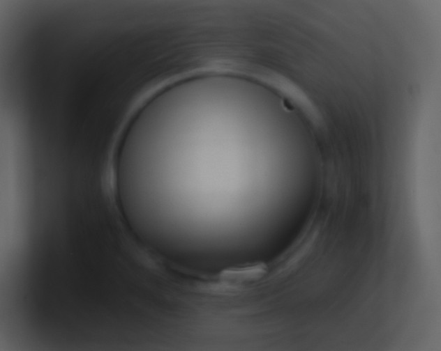 X0000100931280200807081205