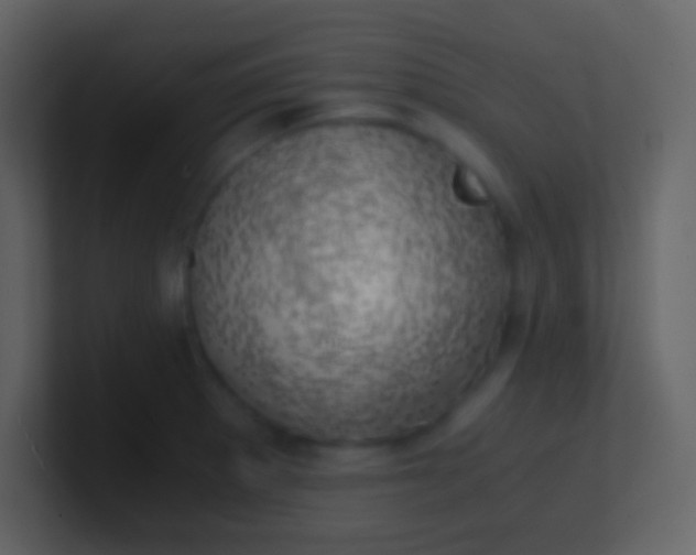 X0000100931281200807081205