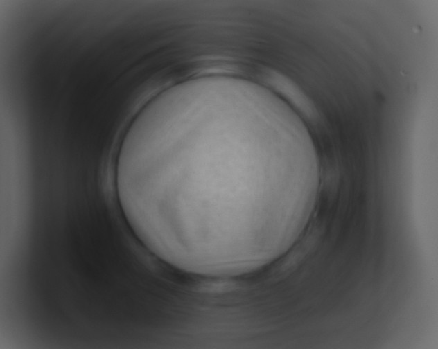 X0000100931282200807081205