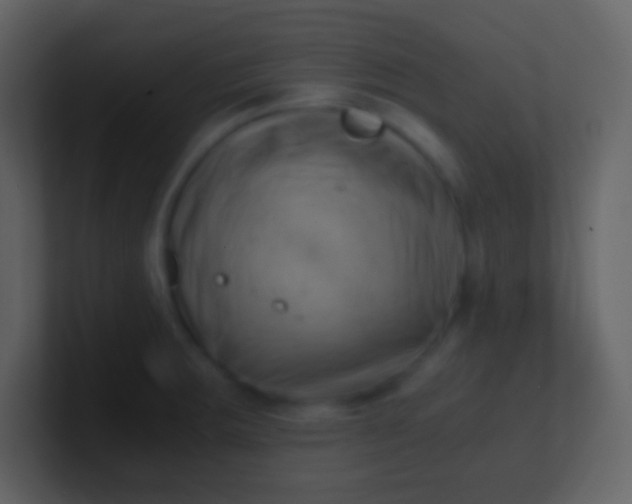 X0000100931283200807081205