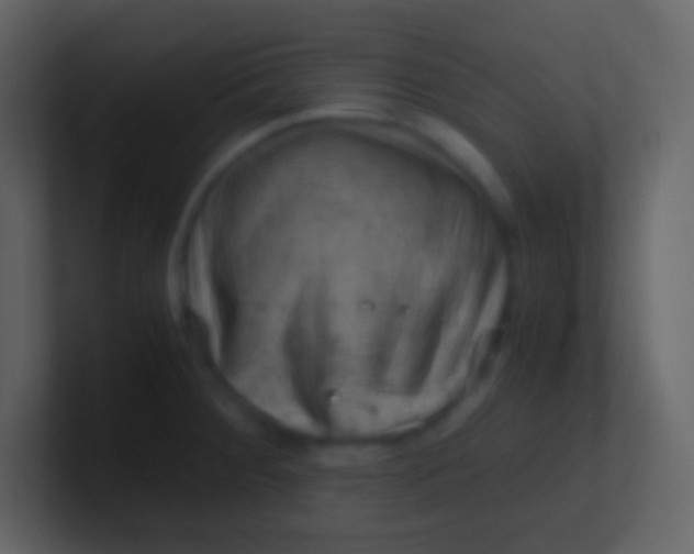 X0000100931284200807081205