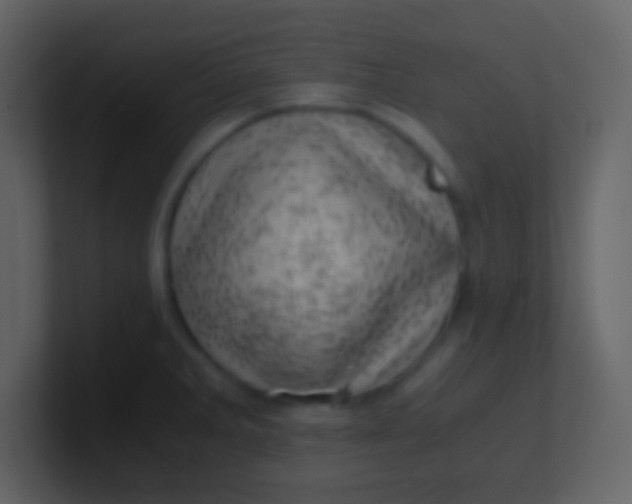 X0000100931285200807081205