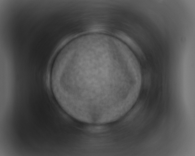 X0000100931286200807081205