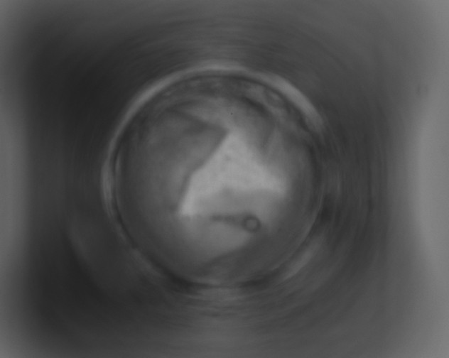 X0000100931287200807081205