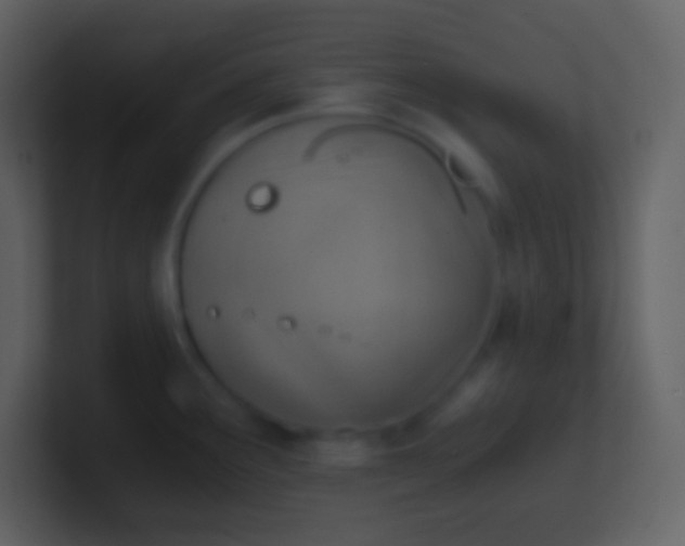 X0000100931291200807081205