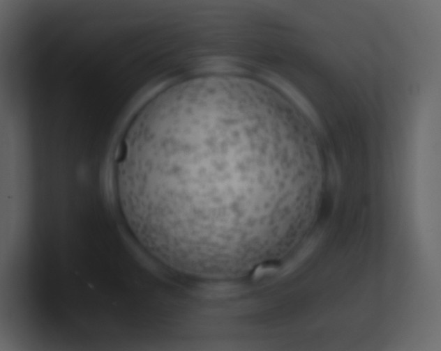 X0000100931293200807081205