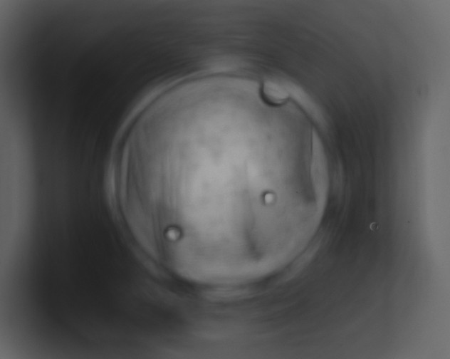 X0000100931294200807081205