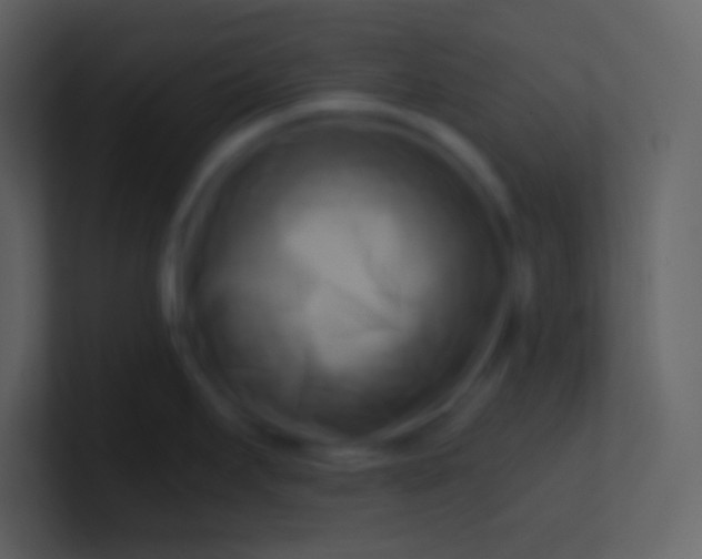 X0000100931295200807081205