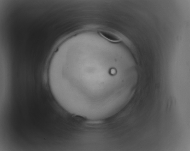 X0000100931296200807081205