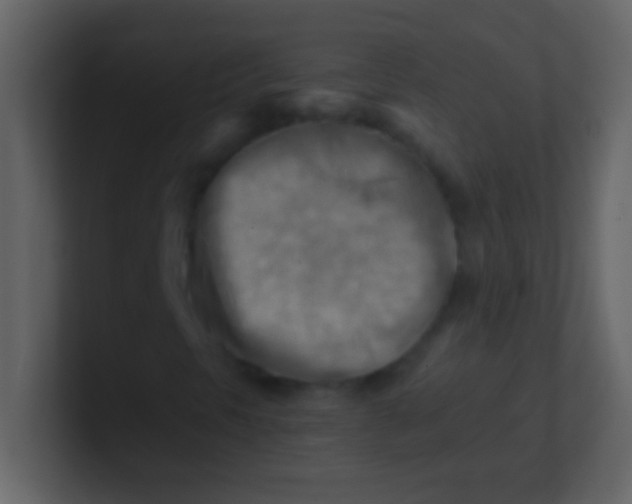 X0000100931297200807081204