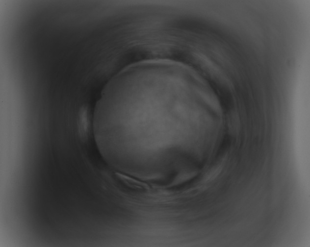 X0000100931298200807081204