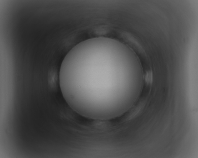 X0000100931299200807081204