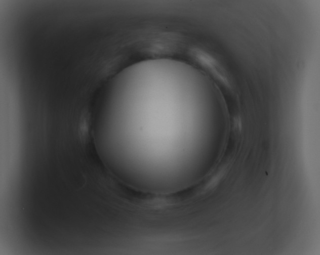 X0000100931300200807081204