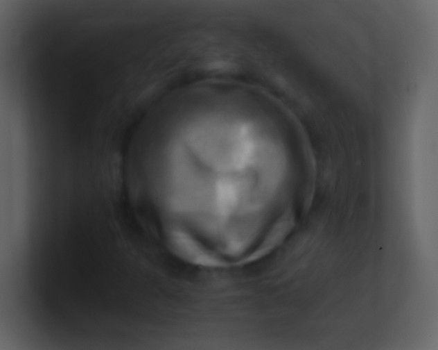 X0000100931301200807081204