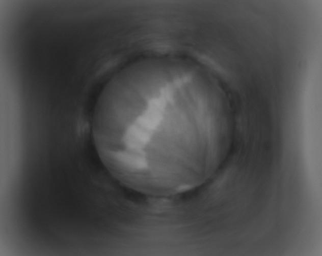 X0000100931302200807081204