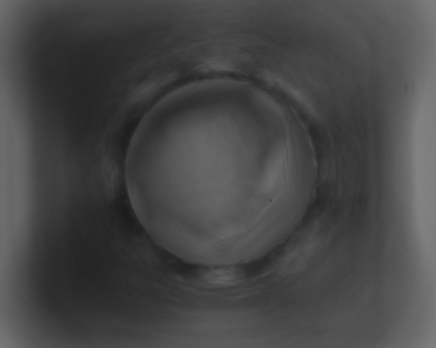 X0000100931303200807081204