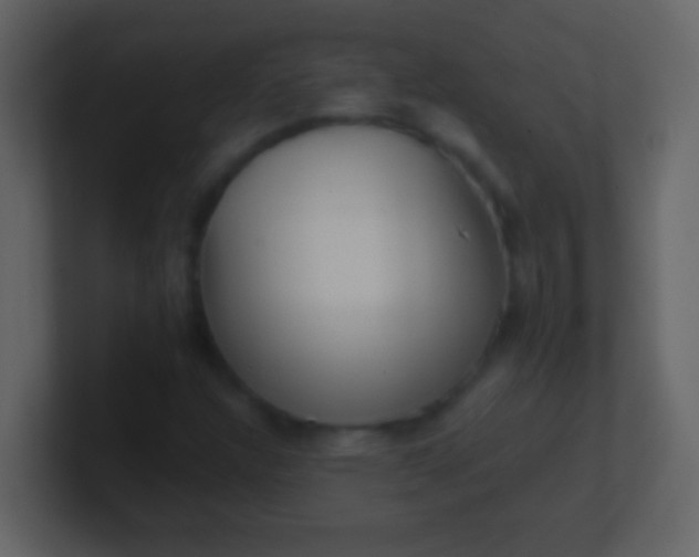 X0000100931304200807081204