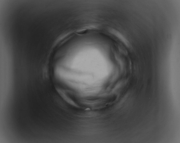 X0000100931308200807081204